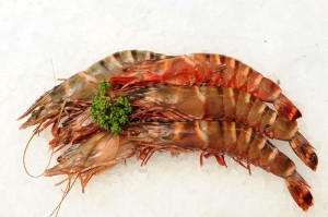 king-prawn---tiger-prawn-89