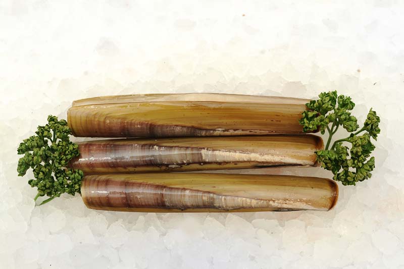 razorclams75 E. Ashton Fishmongers