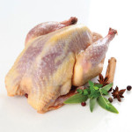 whole-pheasant-raw
