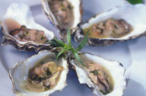 Champagne Oysters